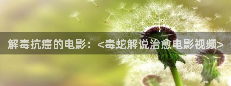 神马影视综合网