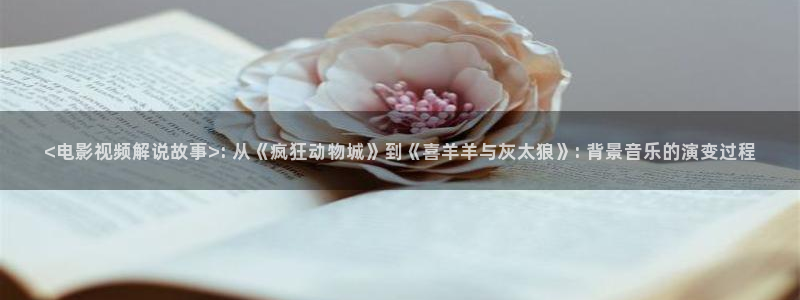 神马电影黄