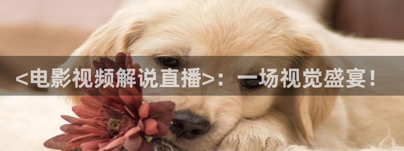 原来神马电影免费观看电影
