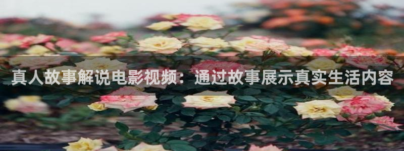 神马限制级影院