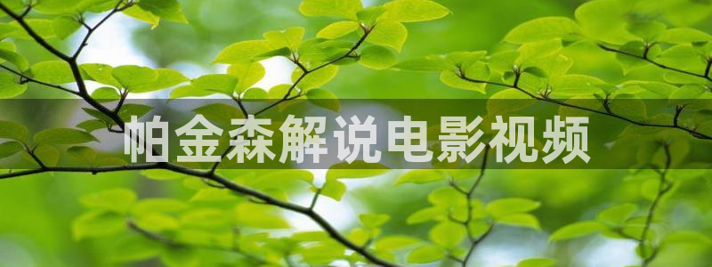 神马影院在线观看电影