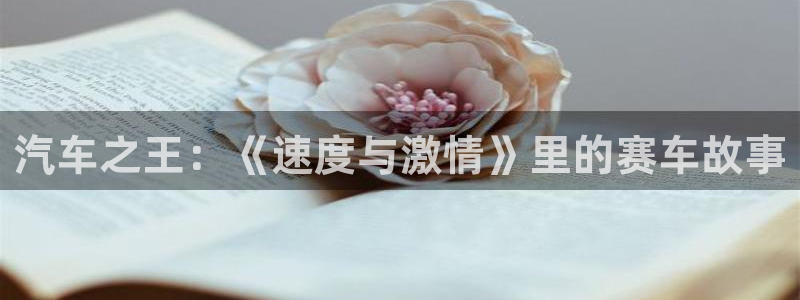 神马电影站