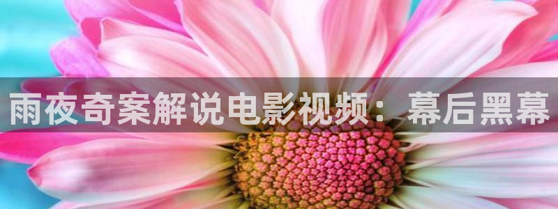 神马好看的最新电影在线观看