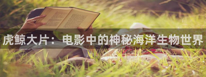 新视觉神马影视