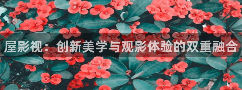 神马影院3