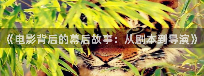 神马影院第六影院