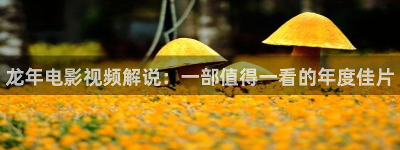 八戒八戒神马在线影院