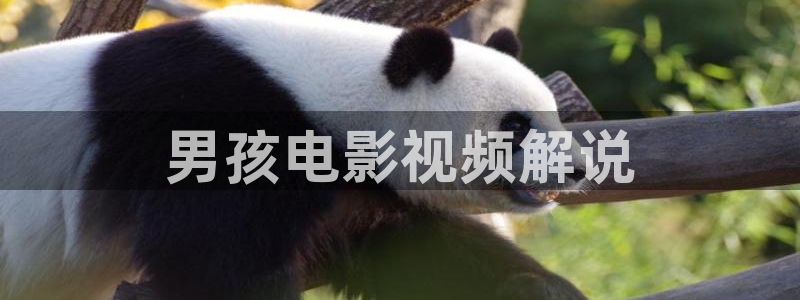 神马影院免费在线观看