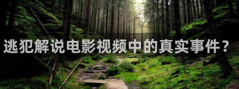 未来神马影院在线观看