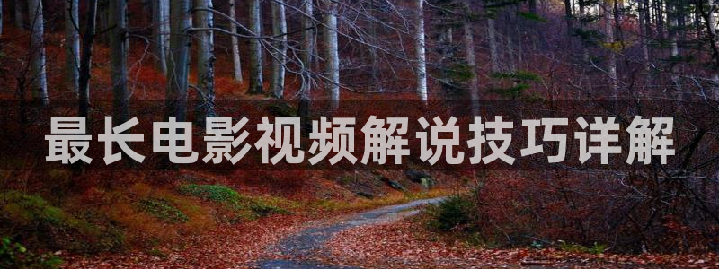神马影院黄色大片