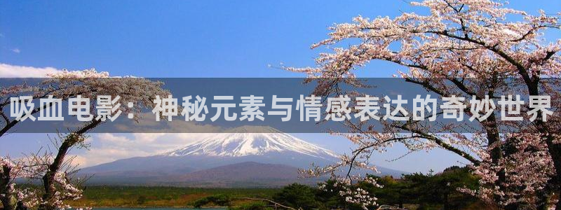 神马影院十八不禁